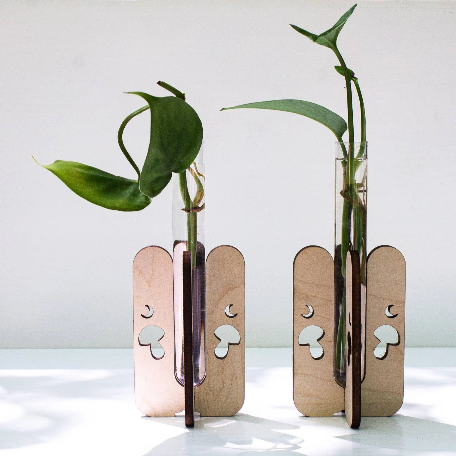 Mushroom Tabletop Propagation Station 4 Mushroom Tabletop Propagation Station - Image 4