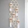 Hanging Honeycomb Propagation Station (5 Tube)