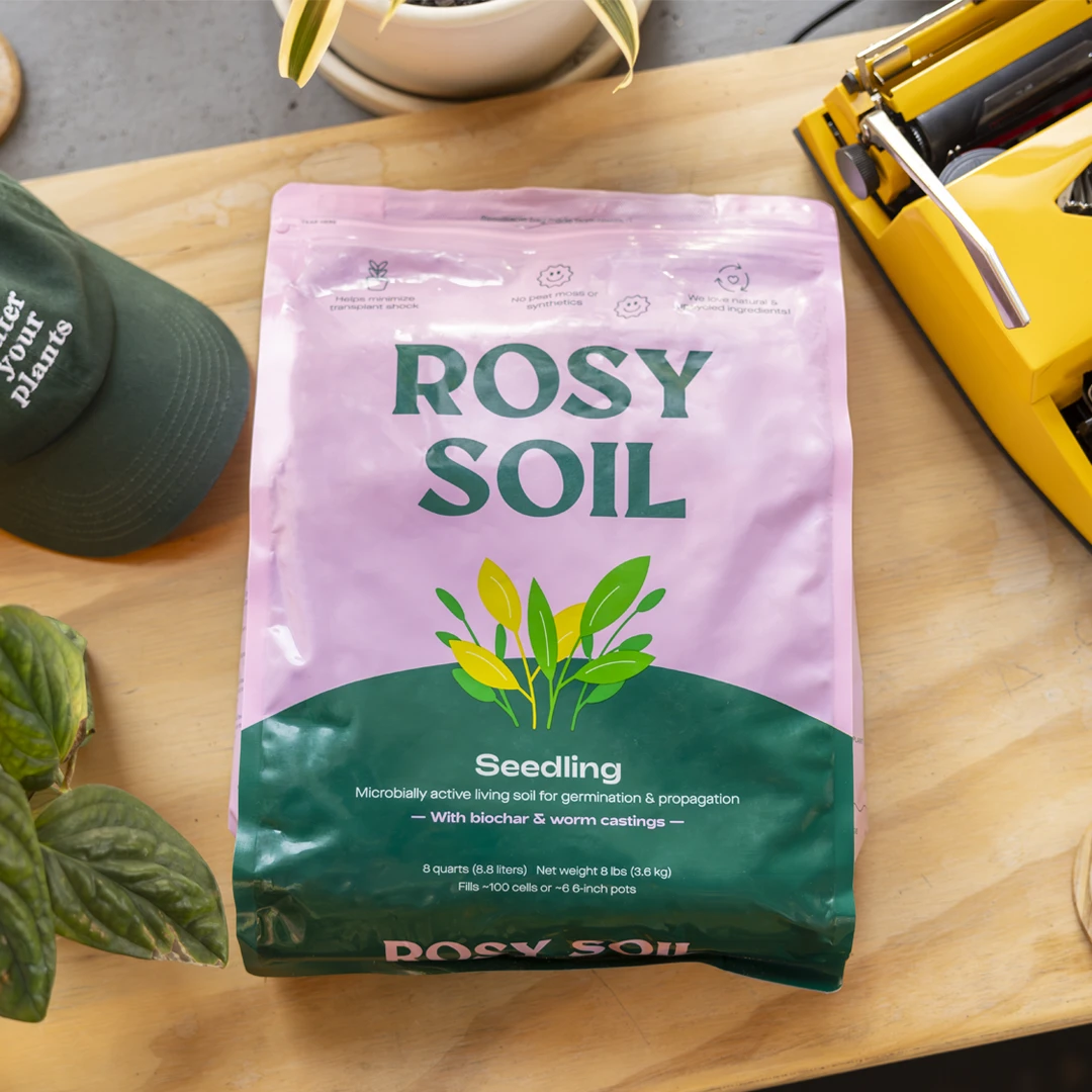 Organic Seedling & Propagation Mix, 8 Qrt 2 Organic Seedling & Propagation Mix, 8 Qrt - Image 2