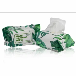 Houseplant Cleaning Wipes -Fresh Plant World 0bafa05751277098a0ef565daba3270a544bd149932bdfeb0e6339c3ffec8f43