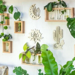 Lunar Love Wooden Trellis 8 Lunar Love Wooden Trellis -Fresh Plant World 17e49262813dac50f9e56fba34f8fa3e1b70dc2b1c5d8b1783f69942ed7bca61