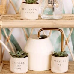 2" Canvas Plant Pot Cover -Fresh Plant World 1b30981b88ef7d7eb1af74fe8cd6283140e902e5fe858bedbf447bdcfea28707