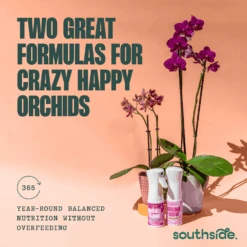 Orchid Grow And Bloom Sprays 22 Orchid Grow And Bloom Sprays -Fresh Plant World 1d4efde3218dad18186d56f0bd0801e63650f01df76edf3d8bccdd2c3f2f5440
