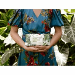 Houseplant Cleaning Wipes -Fresh Plant World 2631b87cd2dac84c02ff4e447177d8a012f98433ee0e40ee0fdae96acb589b47