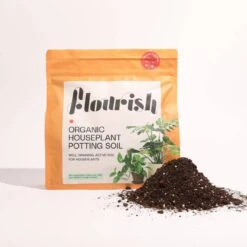 Organic Houseplant Potting Soil
