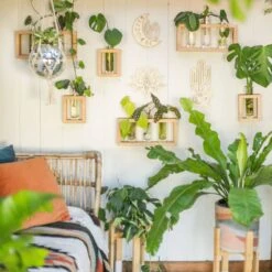 Lunar Love Wooden Trellis 9 Lunar Love Wooden Trellis -Fresh Plant World 2996a71e8984f83cc8d27b47c220b8d085855cd79c7dfe8259055e4421d74fd7