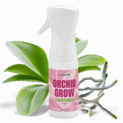 Orchid Grow And Bloom Sprays 33 Orchid Grow And Bloom Sprays -Fresh Plant World 2b35b62069698fe3e0ec3f5912fd37174b6fe48e36d7badb1c4d9e2e4bbec82b