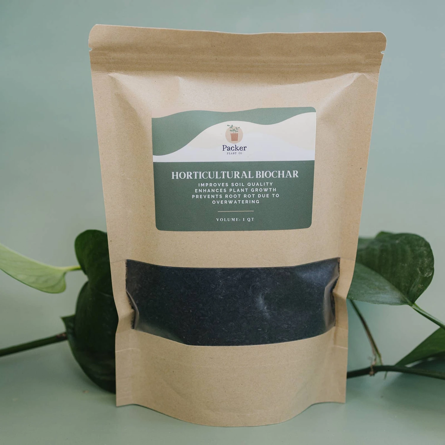 Horticultural Charcoal Biochar For Houseplants & Terrariums 3 Horticultural Charcoal Biochar For Houseplants & Terrariums - Image 3