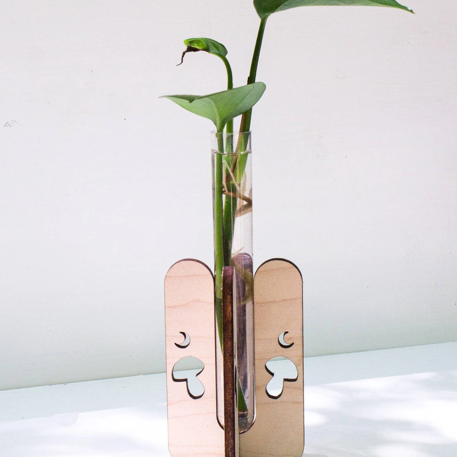 Mushroom Tabletop Propagation Station 2 Mushroom Tabletop Propagation Station - Image 2