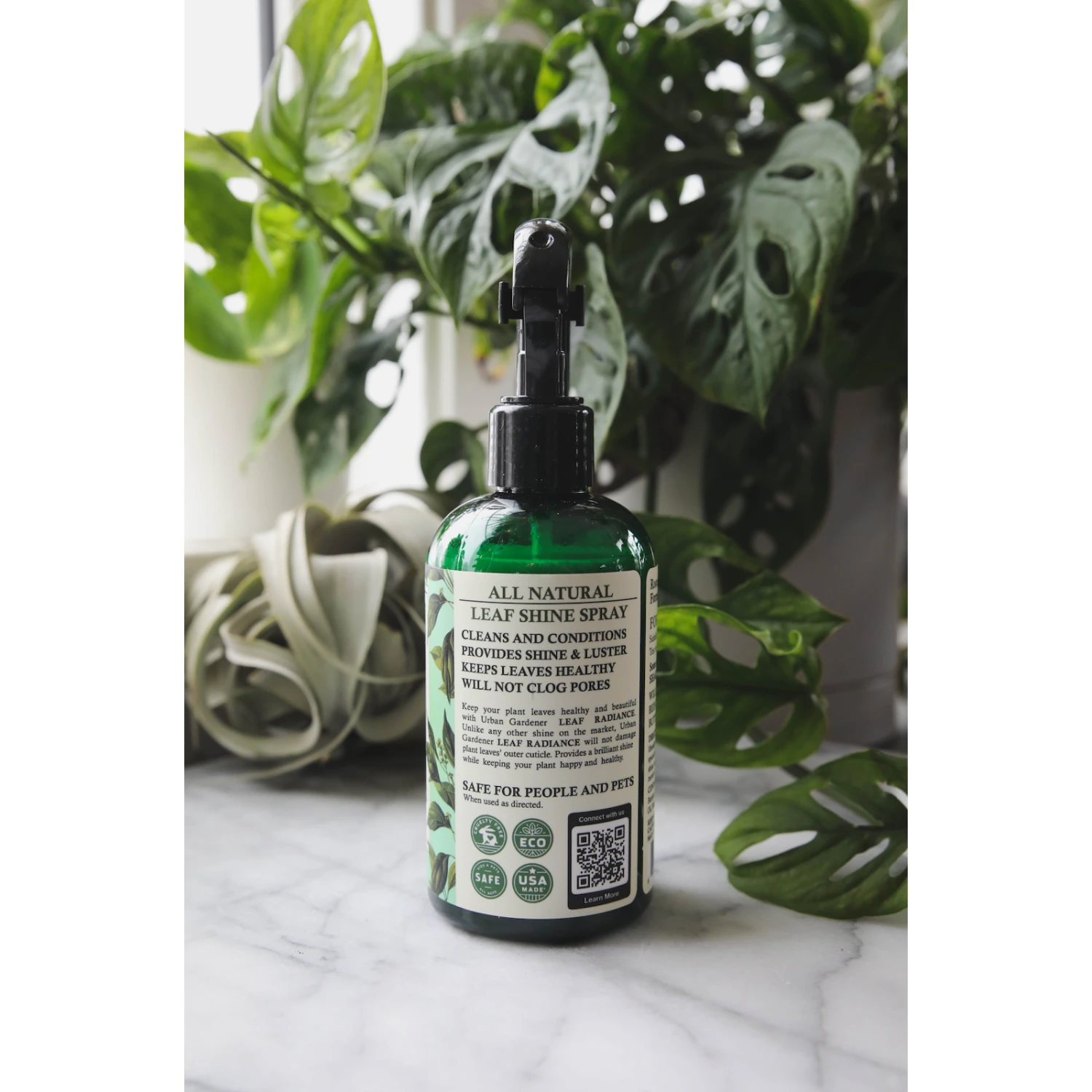 Leaf Radiance - Natural Houseplant Cleaner & Shine 4 Leaf Radiance - Natural Houseplant Cleaner & Shine - Image 4