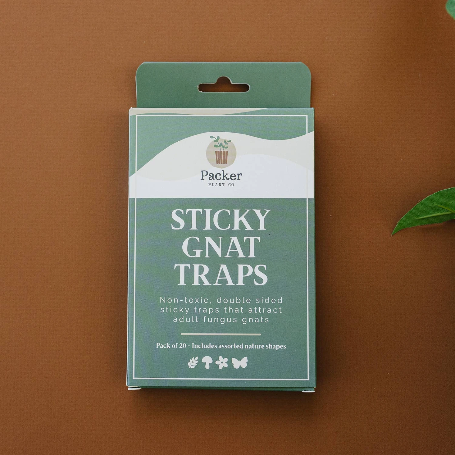 Sticky Gnat Traps (Box) 2 Sticky Gnat Traps (Box) - Image 2