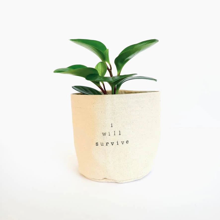 Canvas Plant Pot Cover 2 Canvas Plant Pot Cover - Image 2