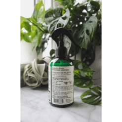 Leaf Radiance - Natural Houseplant Cleaner & Shine 11 Leaf Radiance - Natural Houseplant Cleaner & Shine -Fresh Plant World 3c661eebe2d6ed794073b694f0a0d6f200eb6d6f0616ee5ea201361c5d6046c9