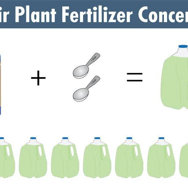 Air Plant Weekly Fertilizing Spray 7 Air Plant Weekly Fertilizing Spray - Image 7