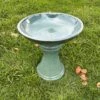 Bird Bath