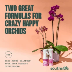 Orchid Grow And Bloom Sprays 34 Orchid Grow And Bloom Sprays -Fresh Plant World 453d5316953d96a9440b5735d21e61cd5711630978be42c102a1af5c2671186b