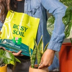 Plant Food, 2qt -Fresh Plant World 497fb7172b7573495a430ea5016ea1a19abafafe930f247206341db5d8378cad