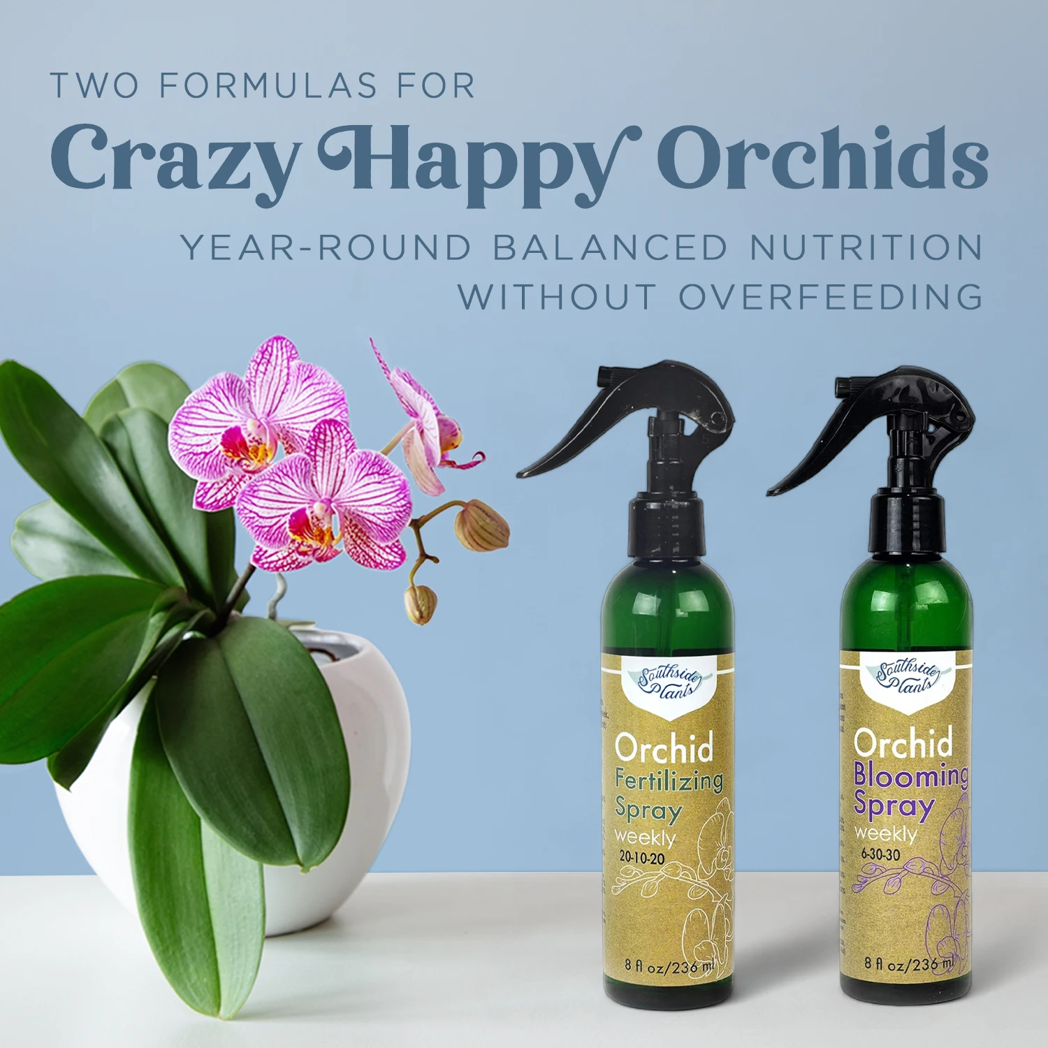 Orchid Grow And Bloom Sprays 13 Orchid Grow And Bloom Sprays - Image 13