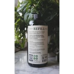 Say No To Bugs - Natural Houseplant Insect Treatment -Fresh Plant World 509bfc286176ec51cfeeb9031843f3c70df16ac0f79571891a2877e73ee0fabc