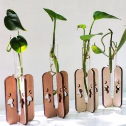 Mushroom Tabletop Propagation Station 9 Mushroom Tabletop Propagation Station -Fresh Plant World 51385f687d1f7701a508df12927f5ef217b1a9b5695d722c4add6b4626091b63