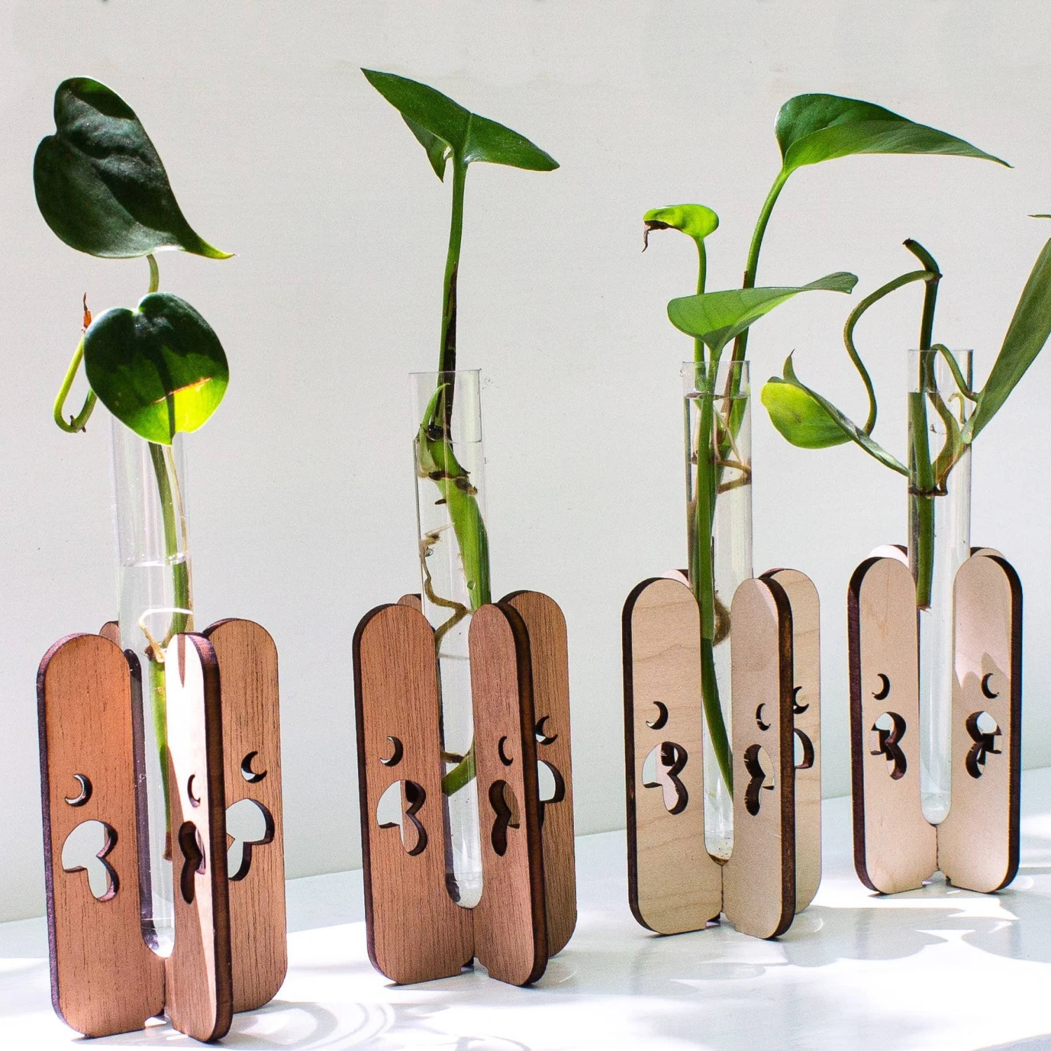 Mushroom Tabletop Propagation Station 5 Mushroom Tabletop Propagation Station - Image 5