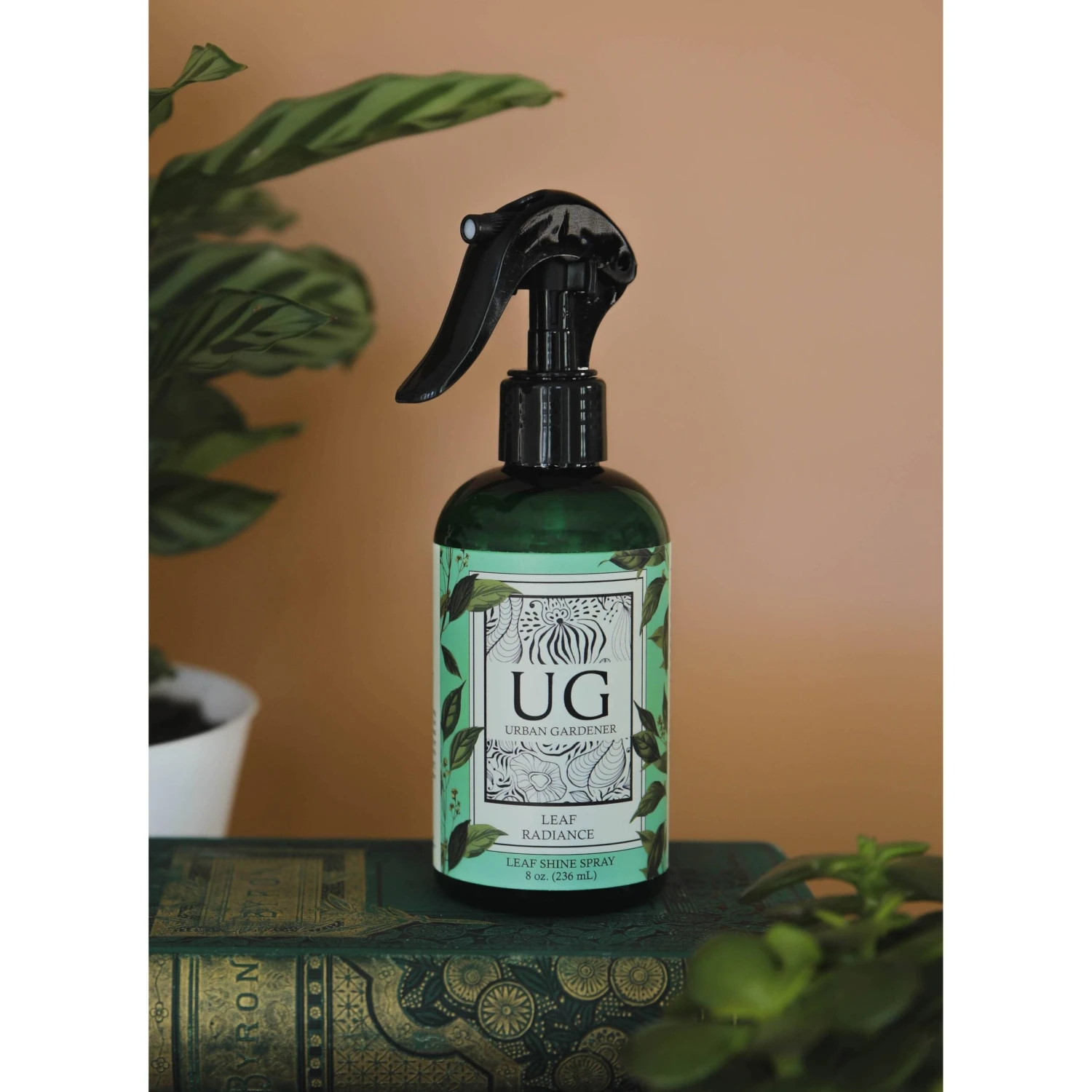 Leaf Radiance - Natural Houseplant Cleaner & Shine 6 Leaf Radiance - Natural Houseplant Cleaner & Shine - Image 6