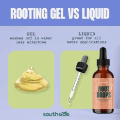 Root Drops - For Propagations & Repotting 11 Root Drops - For Propagations & Repotting -Fresh Plant World 5f5966942787cd124bfbd83e362aaa562e1711c73e511da59c8d25ffa7ca67de