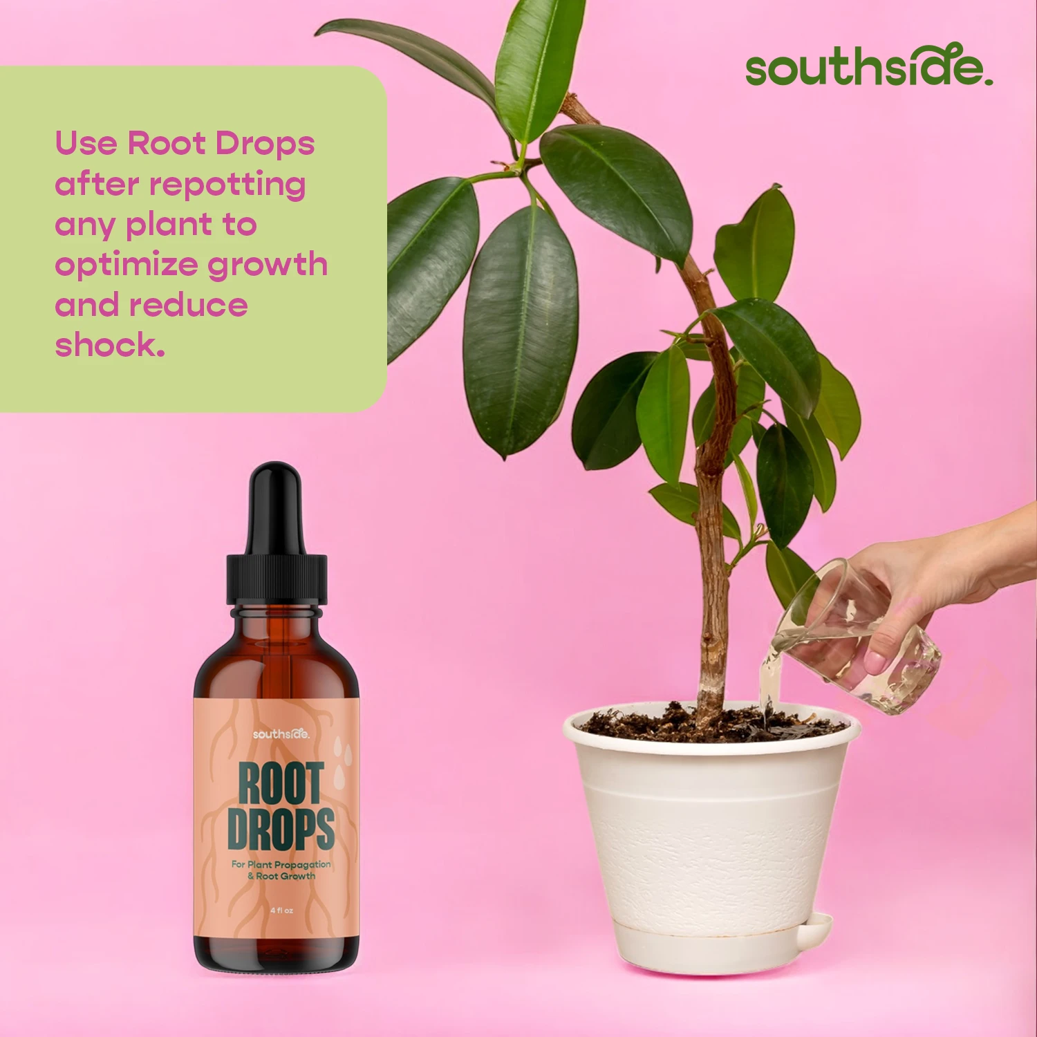 Root Drops - For Propagations & Repotting 4 Root Drops - For Propagations & Repotting - Image 4