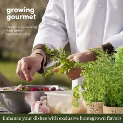 9 Herb Window Garden -Fresh Plant World 6076c13d8373a3b2b9f8a759bff4420eeb82b8ff1e5394232cfa8ac3ea1fc502