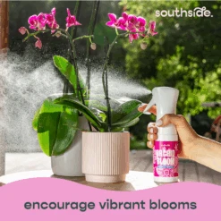 Orchid Grow And Bloom Sprays 25 Orchid Grow And Bloom Sprays -Fresh Plant World 692cae5cbcbd875efa488ec5e3c528c1100b375276bd2c43b73180cf65cf0a2f