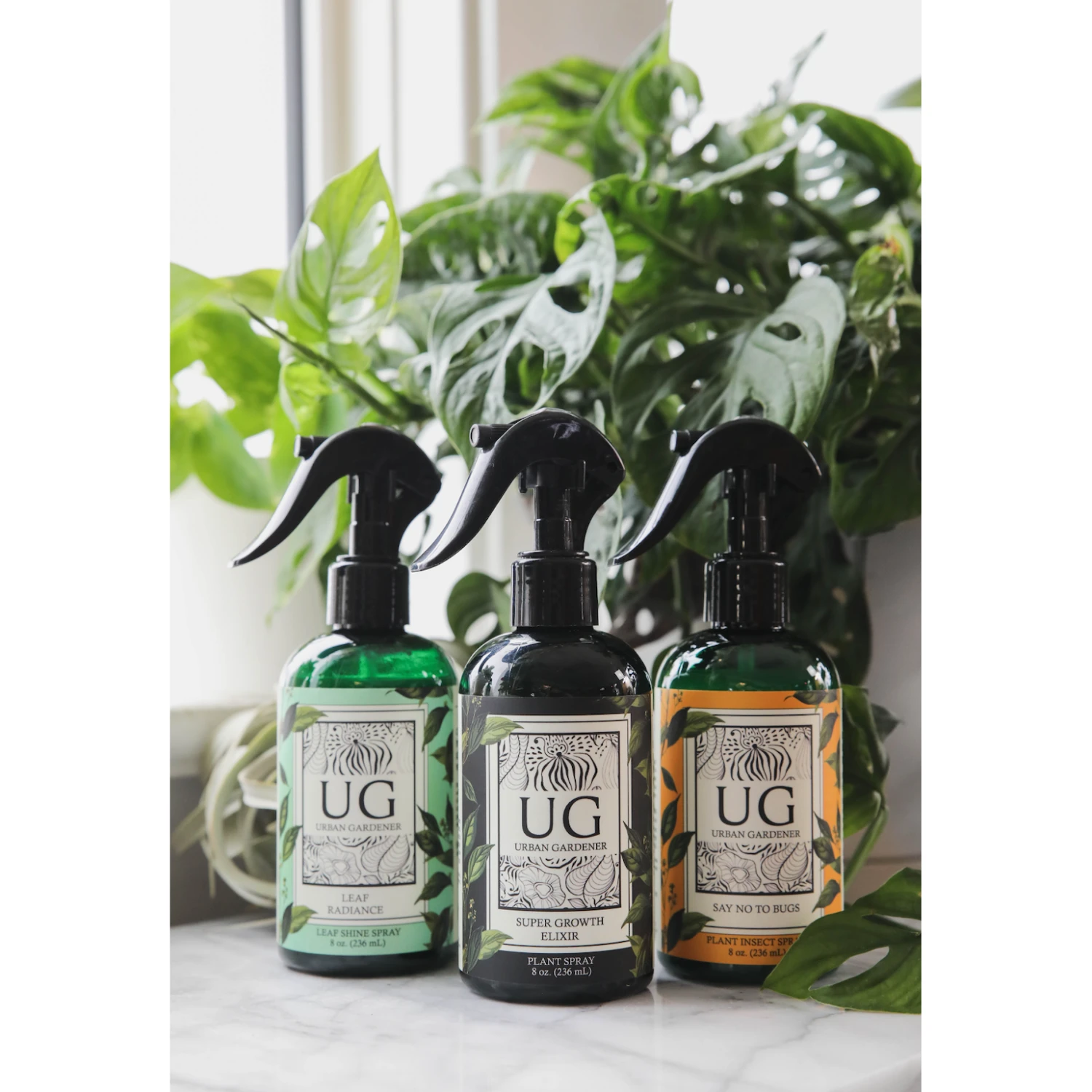 Leaf Radiance - Natural Houseplant Cleaner & Shine 8 Leaf Radiance - Natural Houseplant Cleaner & Shine - Image 8