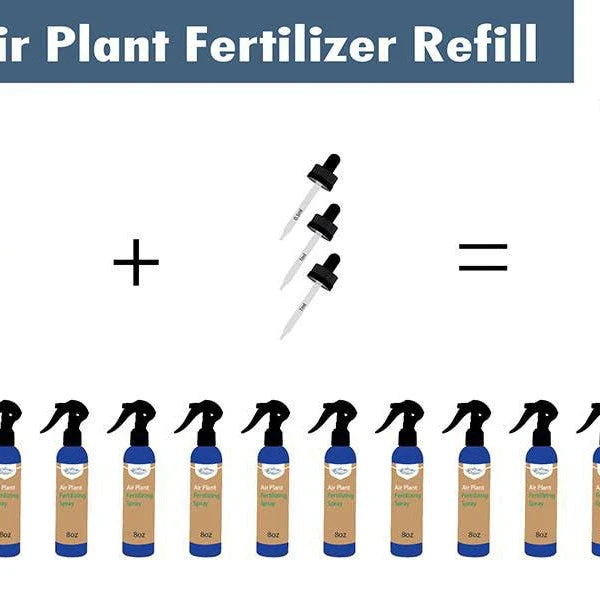 Air Plant Weekly Fertilizing Spray 13 Air Plant Weekly Fertilizing Spray - Image 13