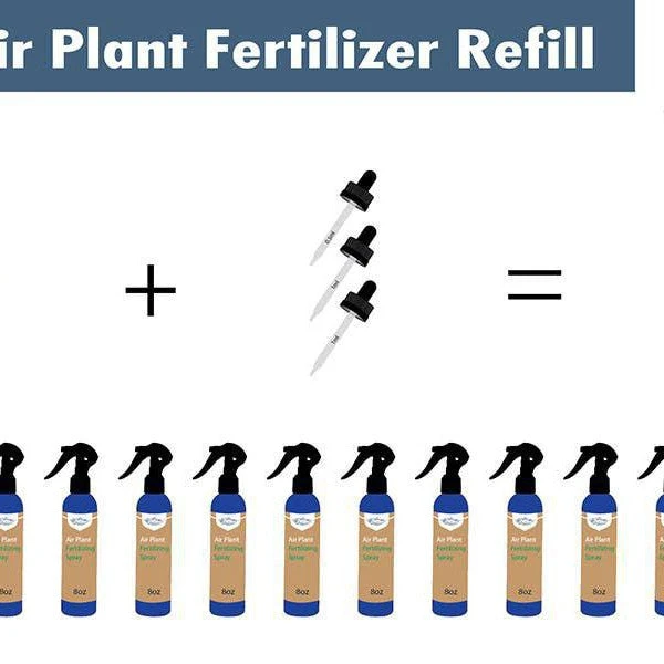 Air Plant Weekly Fertilizing Spray Concentrate 13 Air Plant Weekly Fertilizing Spray Concentrate - Image 13