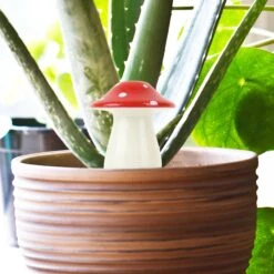 GIFT REPUBLIC Mushroom Self Watering Plant Dispenser -Fresh Plant World 7791a089653083c27f16c6f12ade71a082f1835f3887065e112b6f184751f867