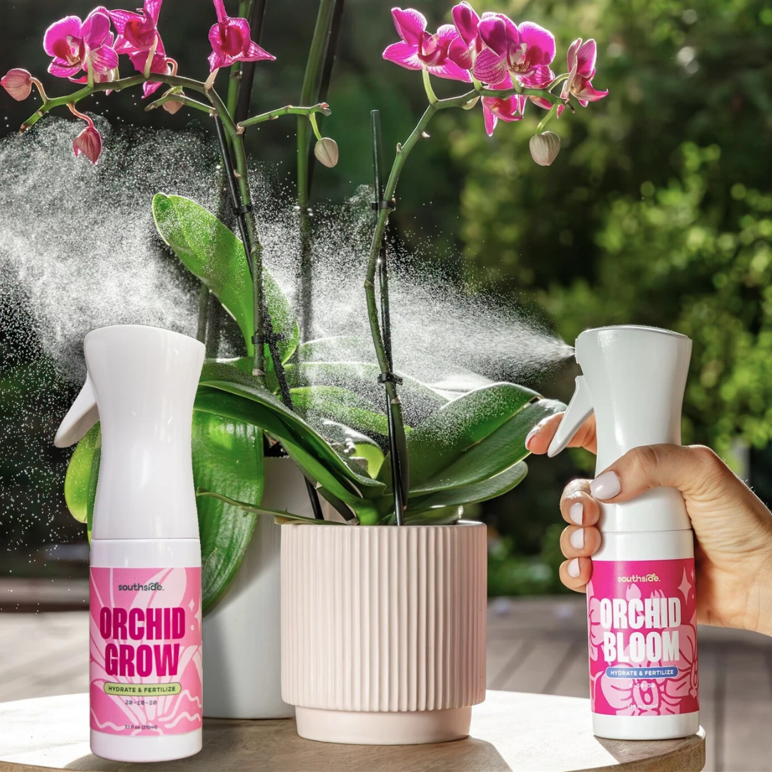 Orchid Grow And Bloom Sprays 1 Orchid Grow And Bloom Sprays