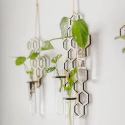 3 Tube Honeycomb Hanging Propagation Station -Fresh Plant World 8a1760565f3d516e3504c2bfc6972ab6881cff4871420cf57f7fc0c01bf3ba75