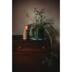 Metal Crescent Moon Trellis