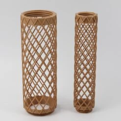 XL Plvnt Poles - 8" 5 XL Plvnt Poles - 8" -Fresh Plant World 96878e0d1337f37a2e1ac74c57905fa4a0d4d62a08ff920f4f75a883c8f9d7c4 a532d8d8 52f0 4cb2 adbd a59cdede141c