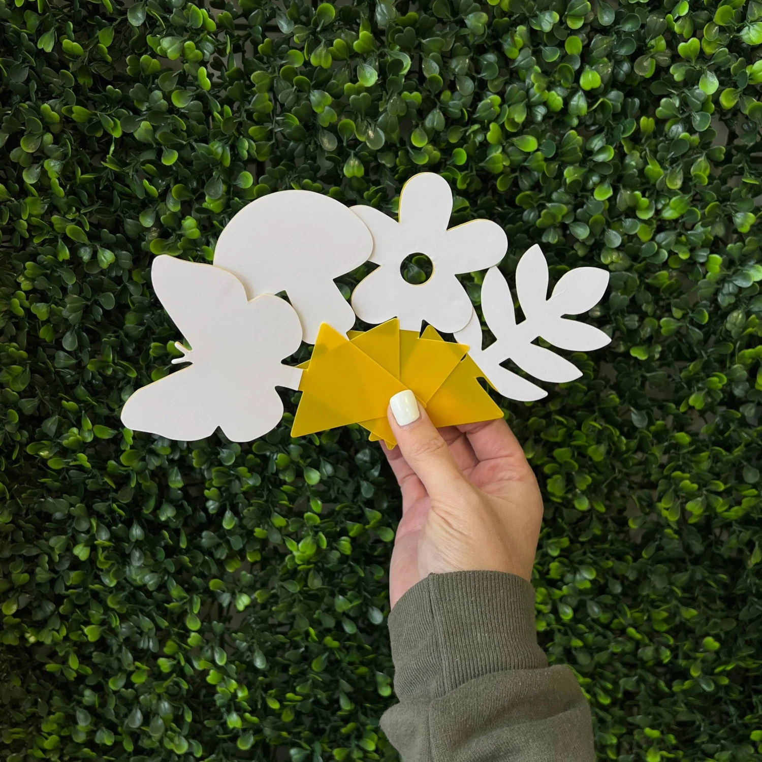 Sticky Gnat Traps (Box) 4 Sticky Gnat Traps (Box) - Image 4