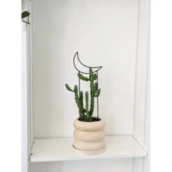 Metal Crescent Moon Trellis -Fresh Plant World 9aa21b85614125c504b181c83be7f930a6c2da802dbe4f68ac631cecc67bb311