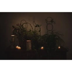 Metal Crescent Moon Trellis -Fresh Plant World 9be8ce3549ac766963c867115b9b6d1a1ffd33775193bee7fa9d7b672c657935