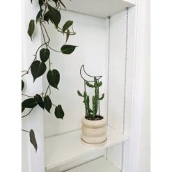 Metal Crescent Moon Trellis -Fresh Plant World 9d6fe77c0aff615e25415d98d670eaebe978776183c703ebd54d67df3beeaeeb