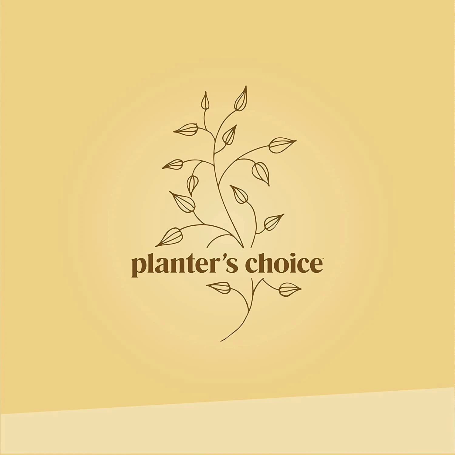 Herb Growing Kit 9 Herb Growing Kit - Image 9