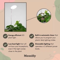 Adjustable LED Plant Light 7 Adjustable LED Plant Light -Fresh Plant World AdjustableLEDPlantLight White2