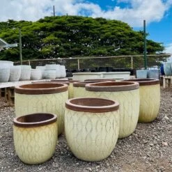 Beige Braided Ceramic Planter