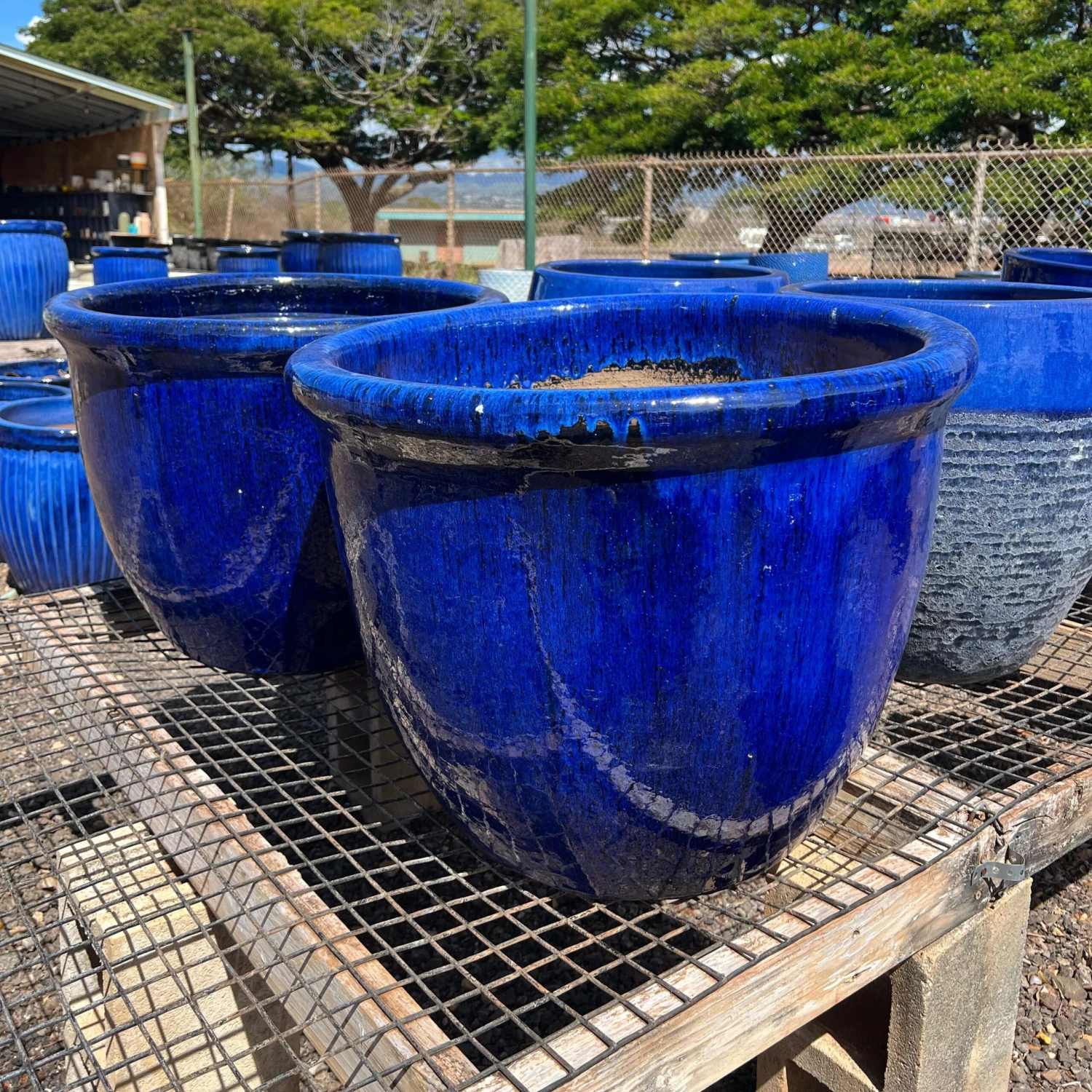 Blue Tapered Ceramic Planter 1 Blue Tapered Ceramic Planter