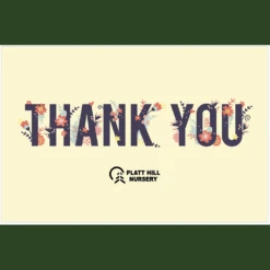 Gift Cards -Fresh Plant World Platt hill Nursery Thank you gift card 1000x1000 1