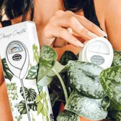 Fresh Plant World 21 Fresh Plant World -Fresh Plant World ScreenShot2022 08 23at10.21.50AM