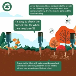 Terracotta Watering Spikes -Fresh Plant World ScreenShot2022 09 23at9.41.51AM