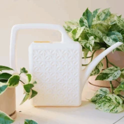 Breeze Block Watering Can -Fresh Plant World ScreenShot2023 09 21at11.20.43AM